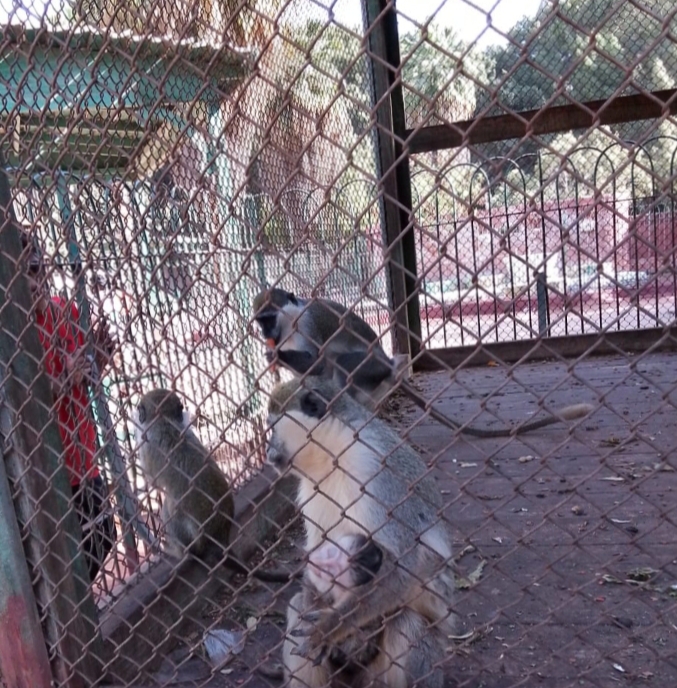 IMG_٢٠٢٥٠٣٣١_١١١٢٣٧