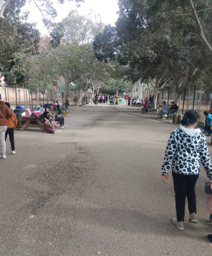 IMG_٢٠٢٥٠٣٣١_١١١٢٢٨