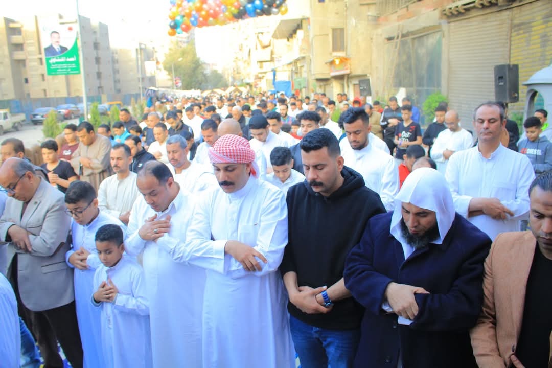 سيللسشي