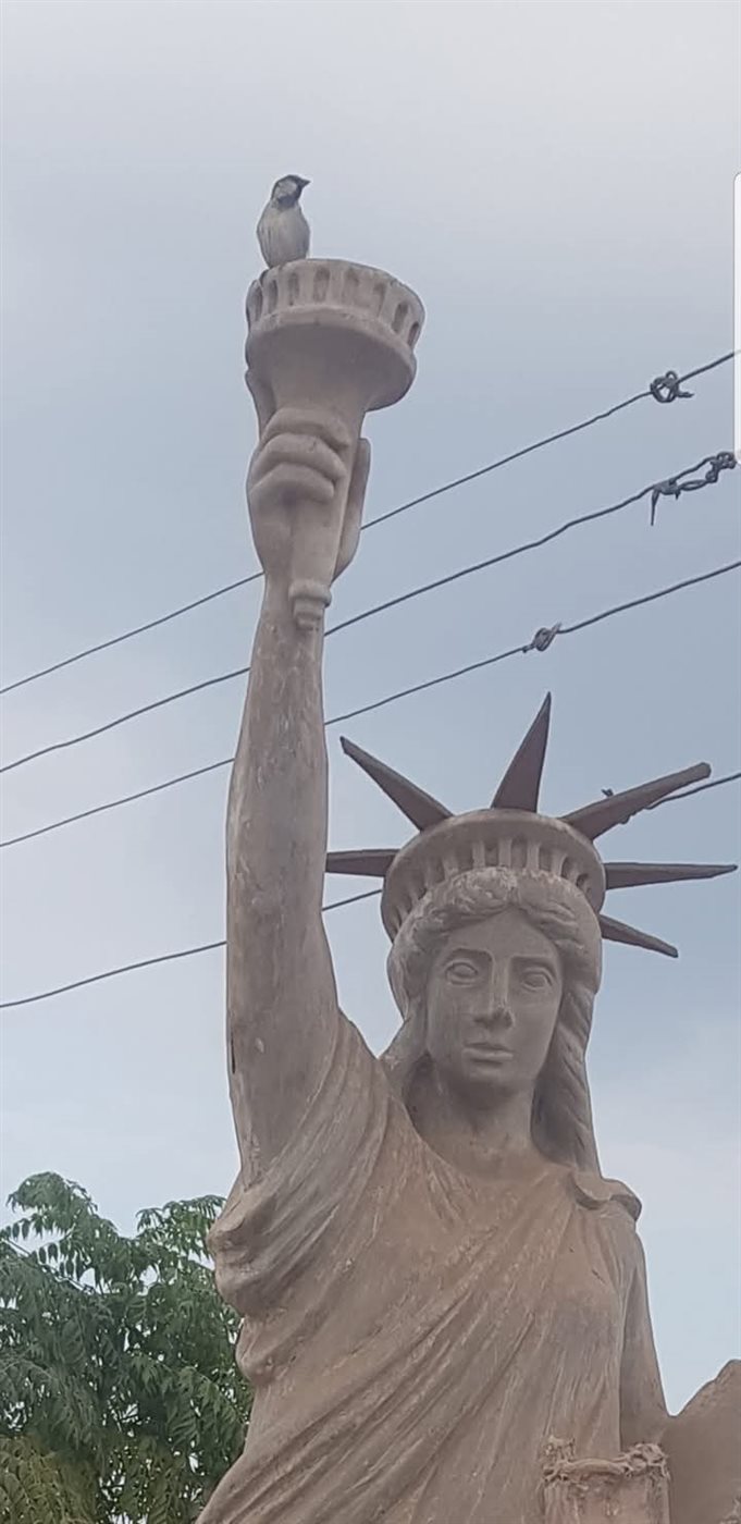 1000378727