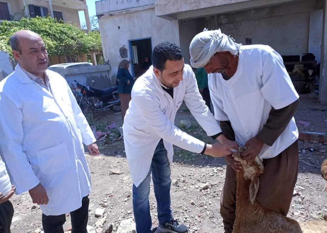 FB_IMG_1744920735829