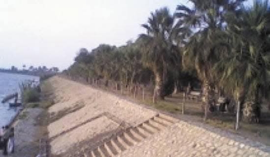 IMG_٢٠٢٥٠٤١٩_١٥٤٣٥٥