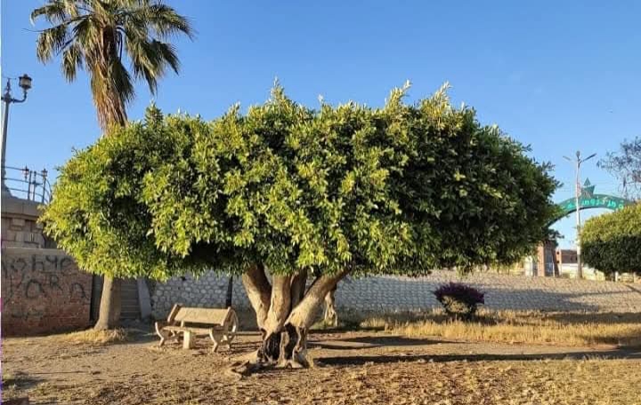 IMG_٢٠٢٥٠٤١٩_١٥٤٣٢٢