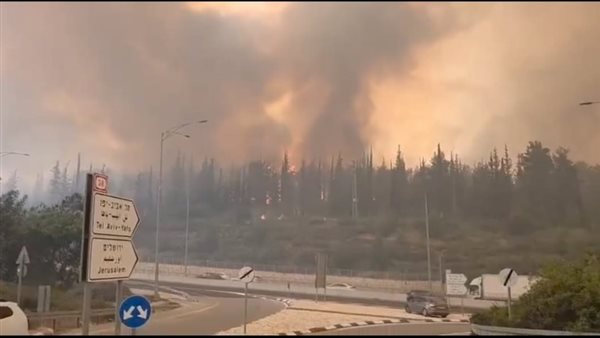 الحرائق في اسرائيل 