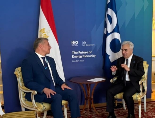 جانب من لقاء وزير البترول والثروة المعدنية والمدير التنفيذي لوكالة الطاقة الدولية