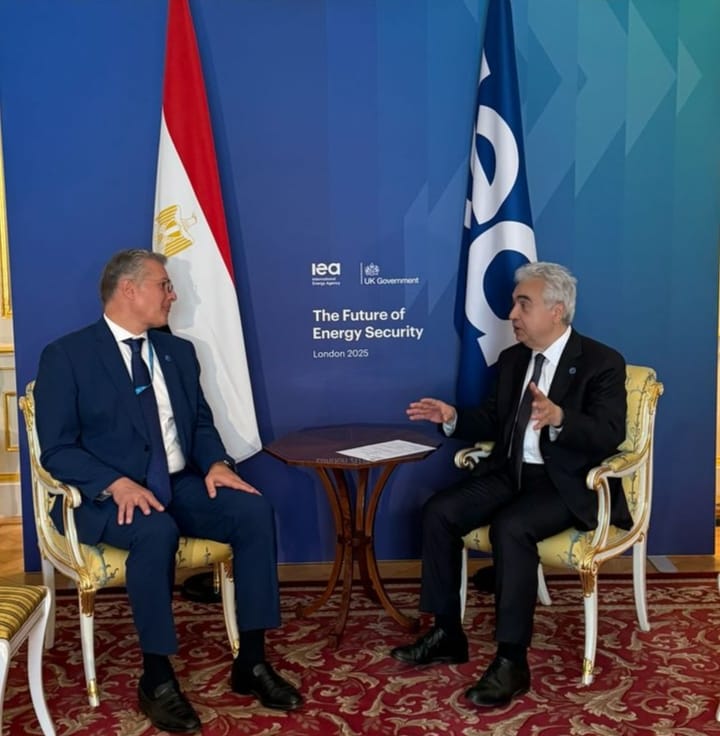 جانب من لقاء وزير البترول والثروة المعدنية والمدير التنفيذي لوكالة الطاقة الدولية