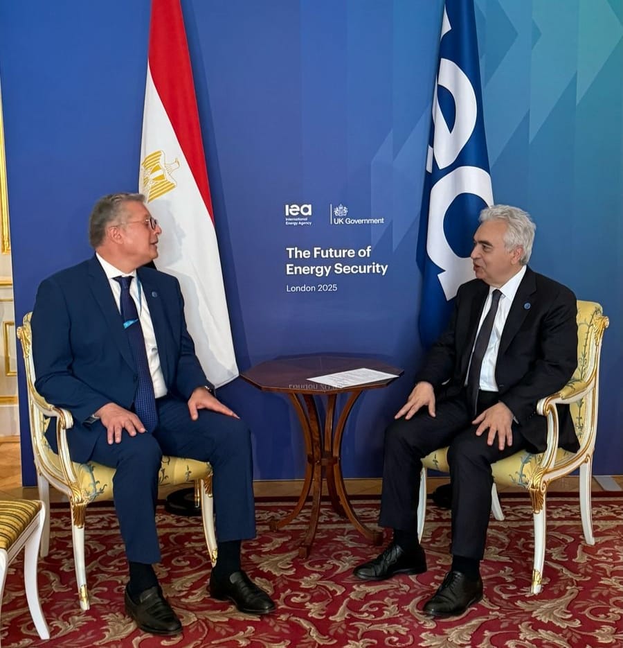 جانب من لقاء وزير البترول والثروة المعدنية والمدير التنفيذي لوكالة الطاقة الدولية
