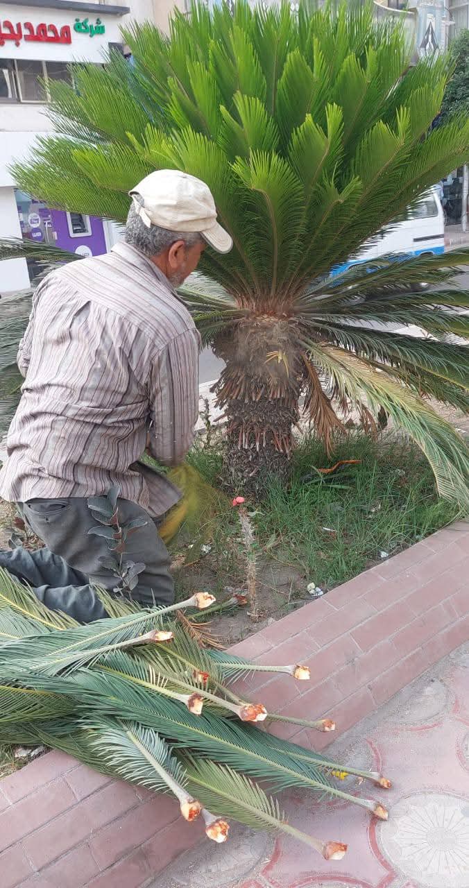 FB_IMG_1745932360967