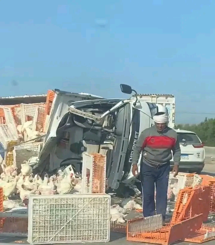 إنقلاب سيارة محملة بالدجاج