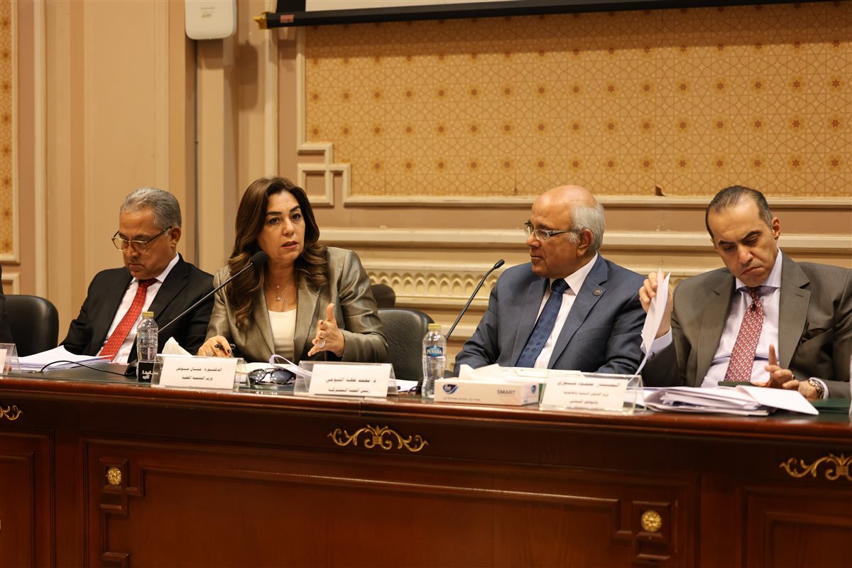 الدكتورة منال عوض وزيرة التنمية المحلية