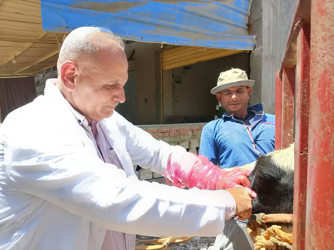 FB_IMG_1746642177120