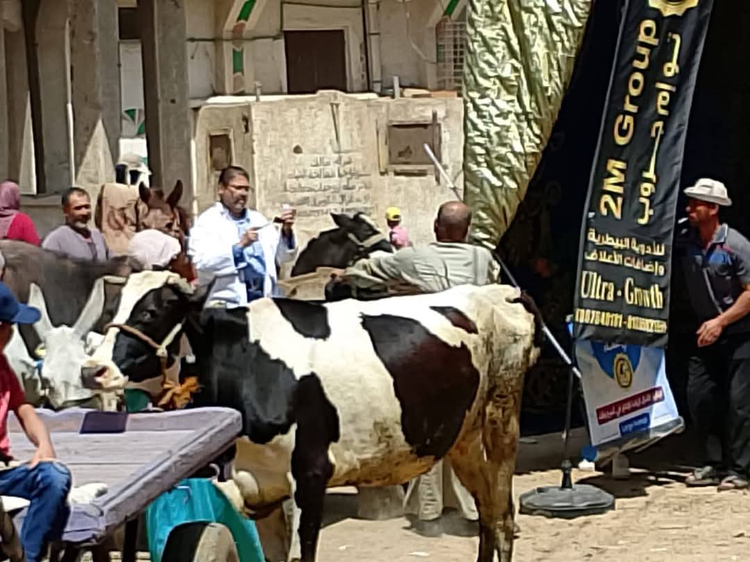 FB_IMG_1746642185485