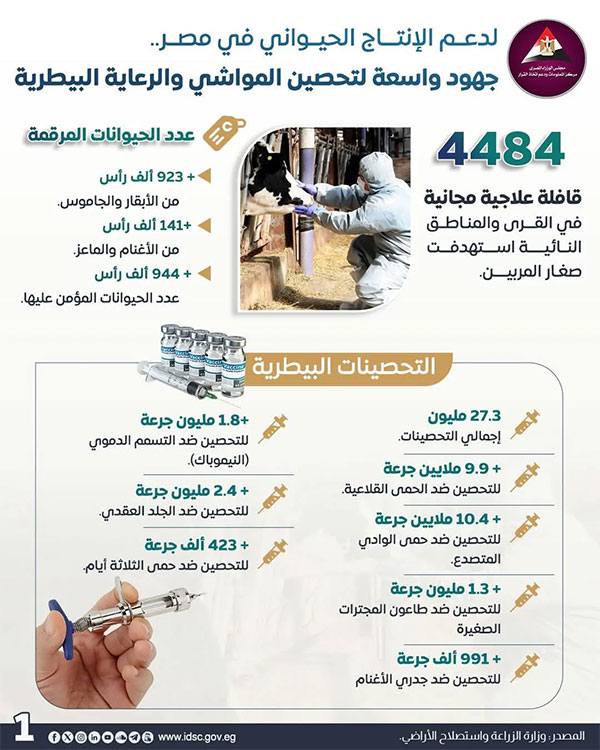 انفوجرافيك