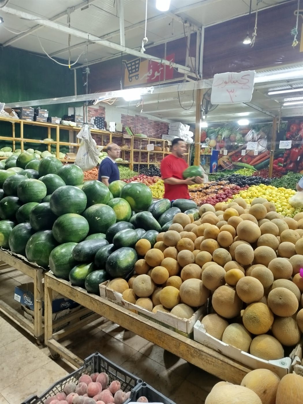 شلشسلسشلسش