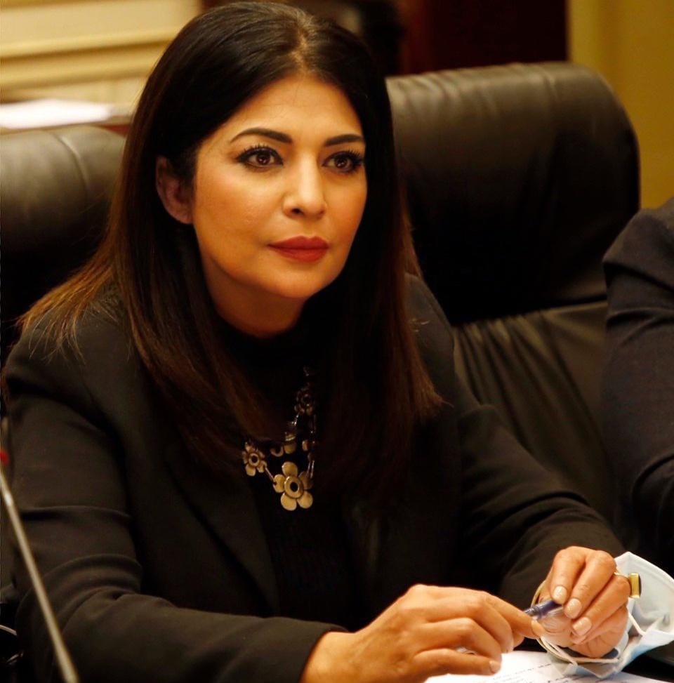 الروائية النائبة ضحى عاصى