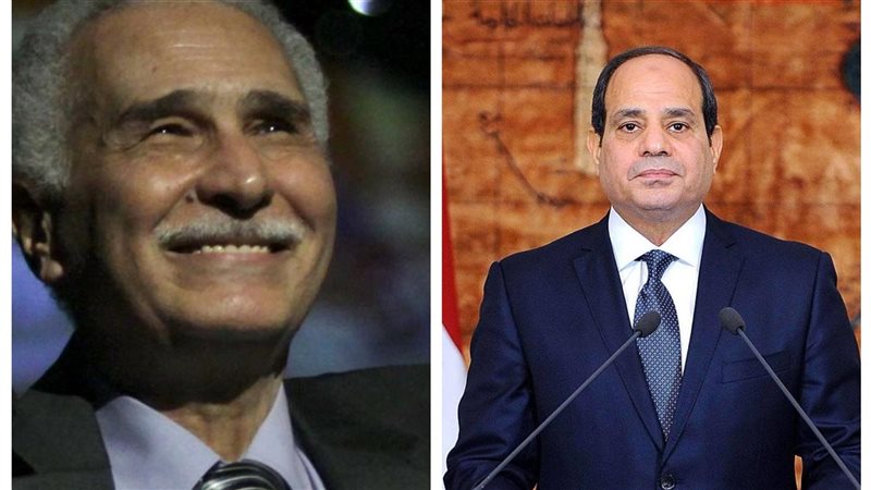 الرئيس عبد الفتاح السيسي والفنان عبد الرحمن أبو زهرة