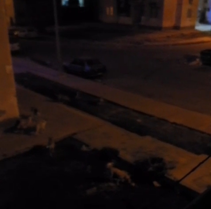 IMG_٢٠٢٥٠٥٢٠_١١٣٤١٠