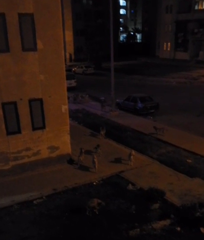 IMG_٢٠٢٥٠٥٢٠_١١٣٣٣٣