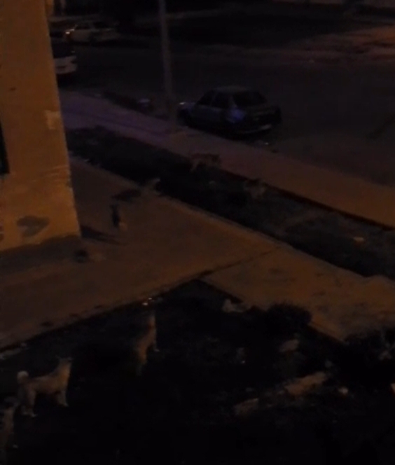 IMG_٢٠٢٥٠٥٢٠_١١٣٣٥٧