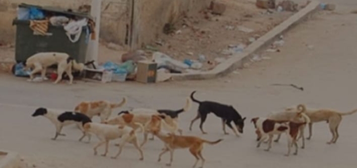 IMG_٢٠٢٥٠٥٢٠_١٢١٥٤٥