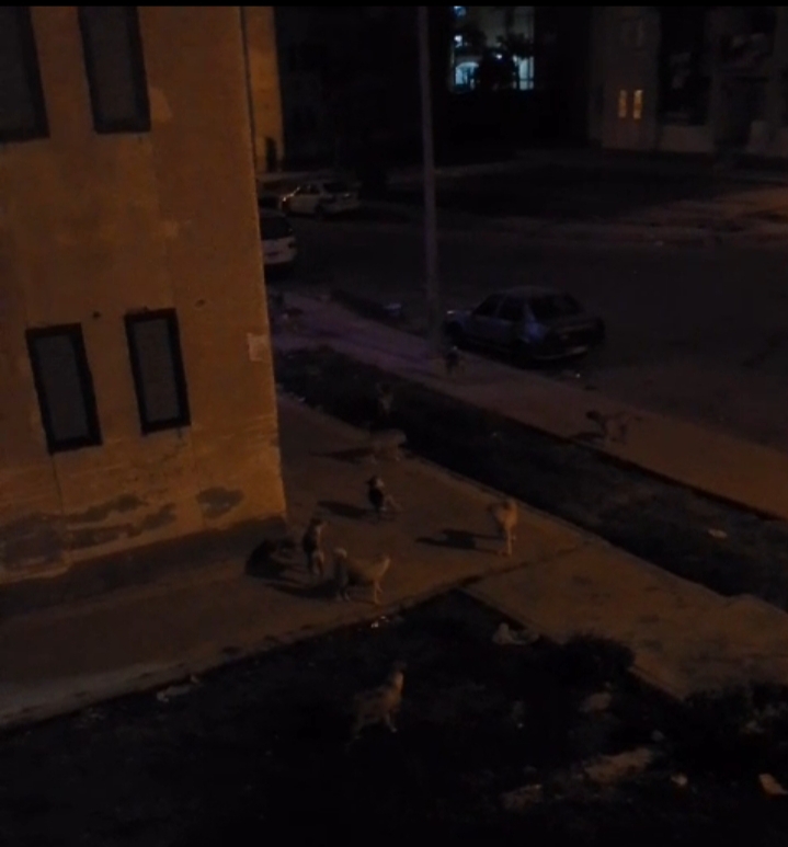 IMG_٢٠٢٥٠٥٢٠_١١٣٣١٣