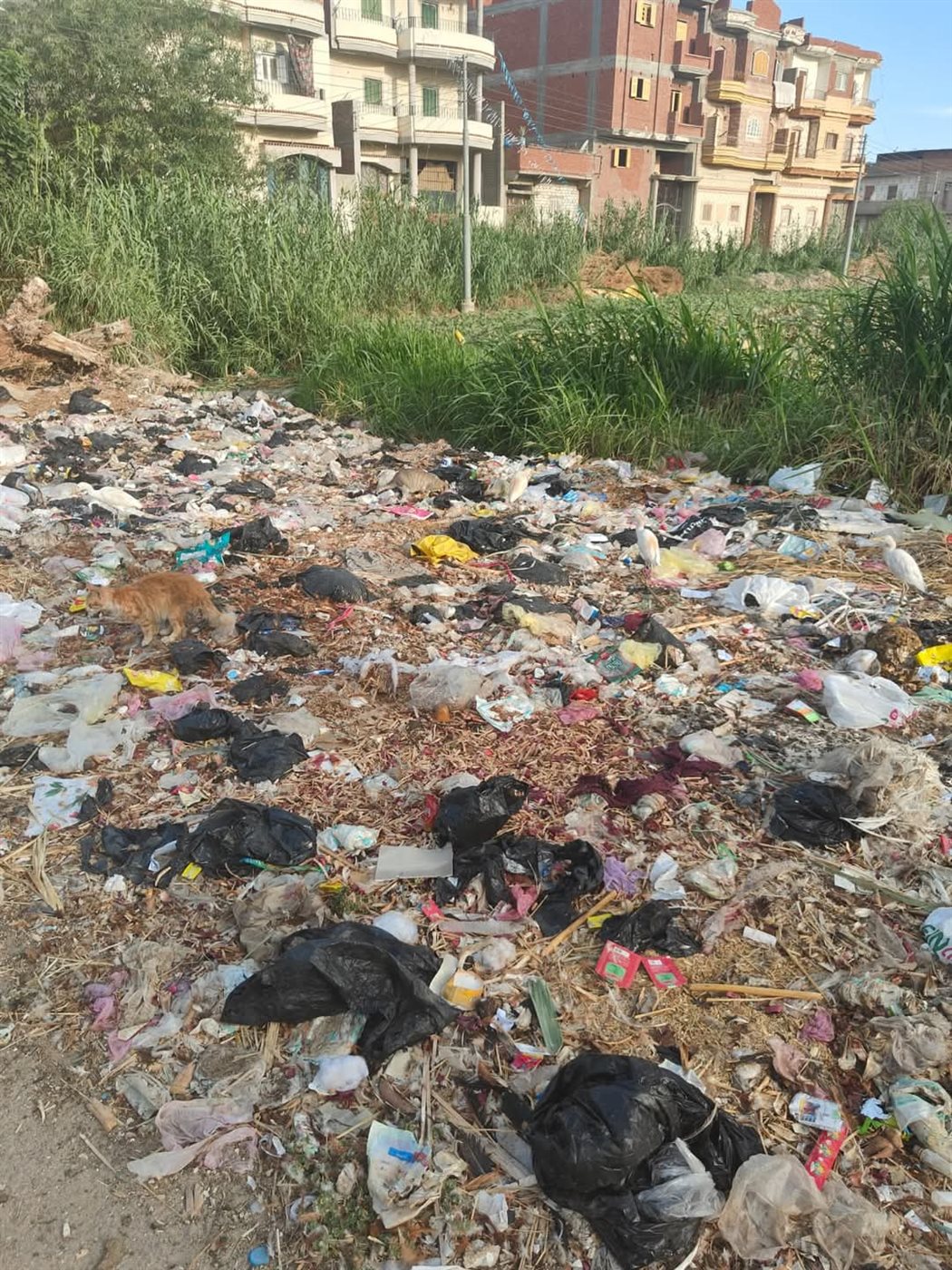 FB_IMG_1747744492826