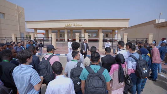 سيللسشيلسيل