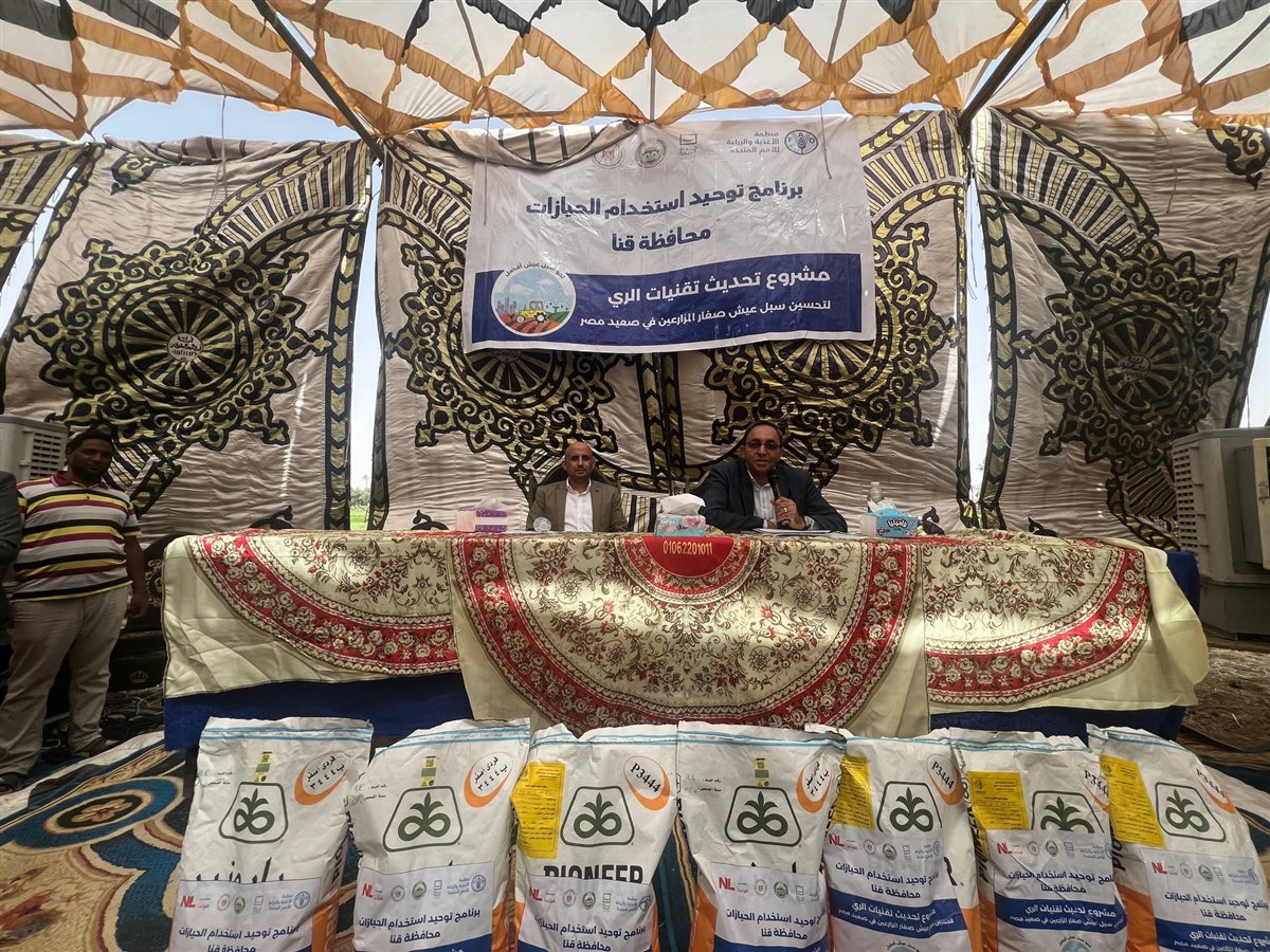 المؤتمر 