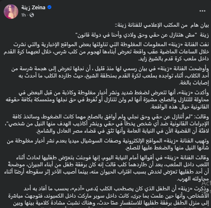 زينة عبر فيسبوك