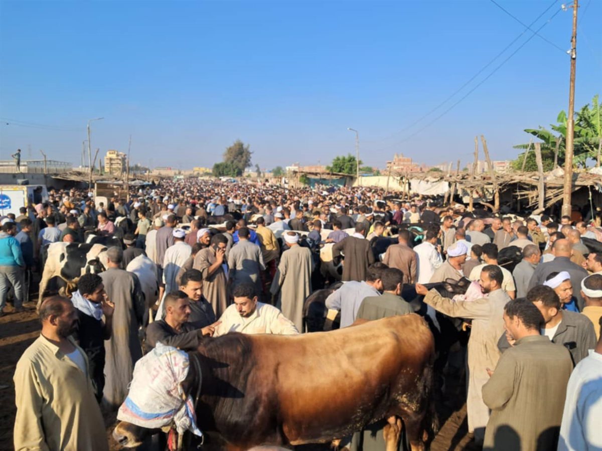 Messenger_creation_95A3070D-F0BE-40DF-AEA3-CE4A242C41F6