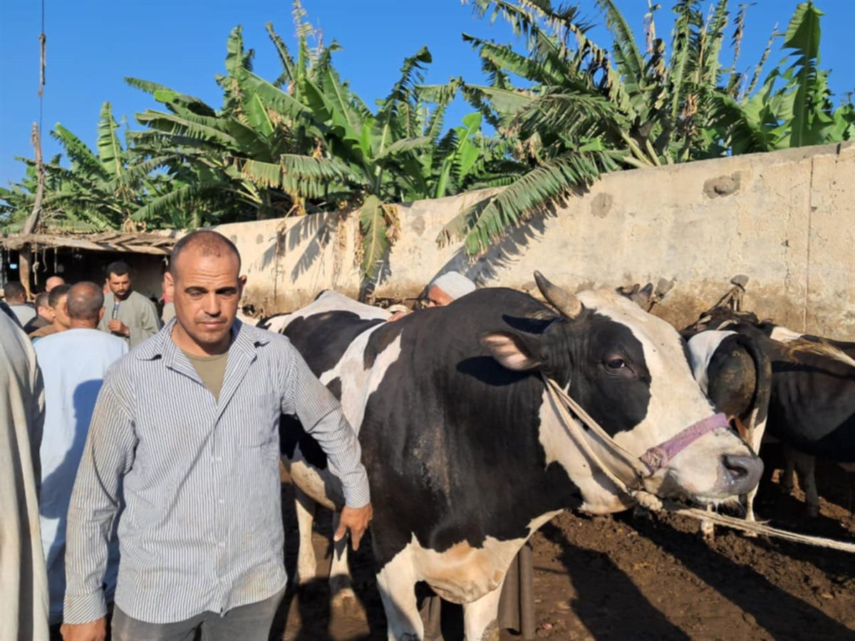 Messenger_creation_B0E75EE6-E939-41B1-AE70-291FDF91AC40