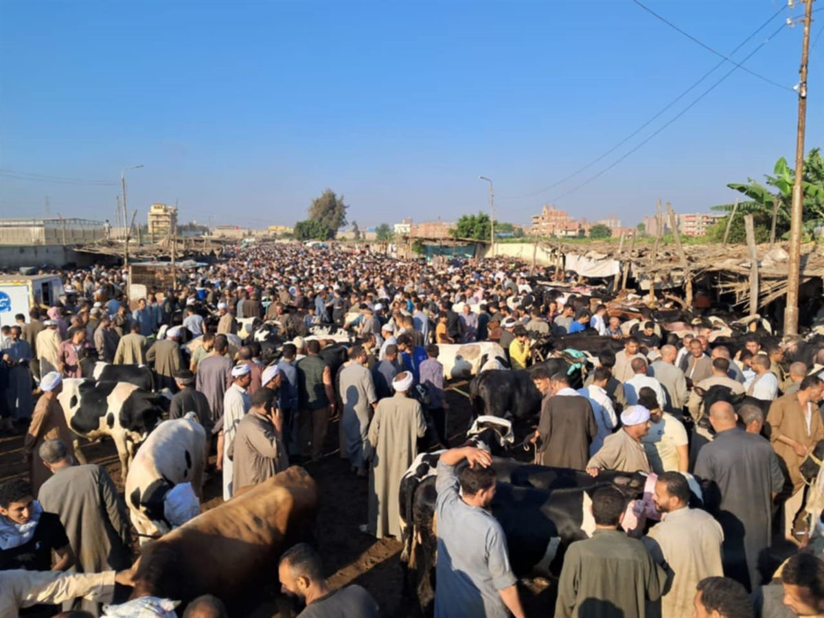 Messenger_creation_38BBEC2E-EC8B-4215-A9C1-4C91A6985F0E