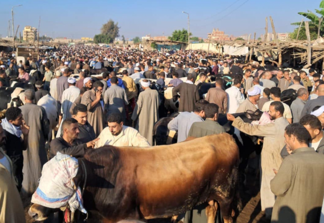 IMG_٢٠٢٥٠٦٠٣_١٠٣١١٧