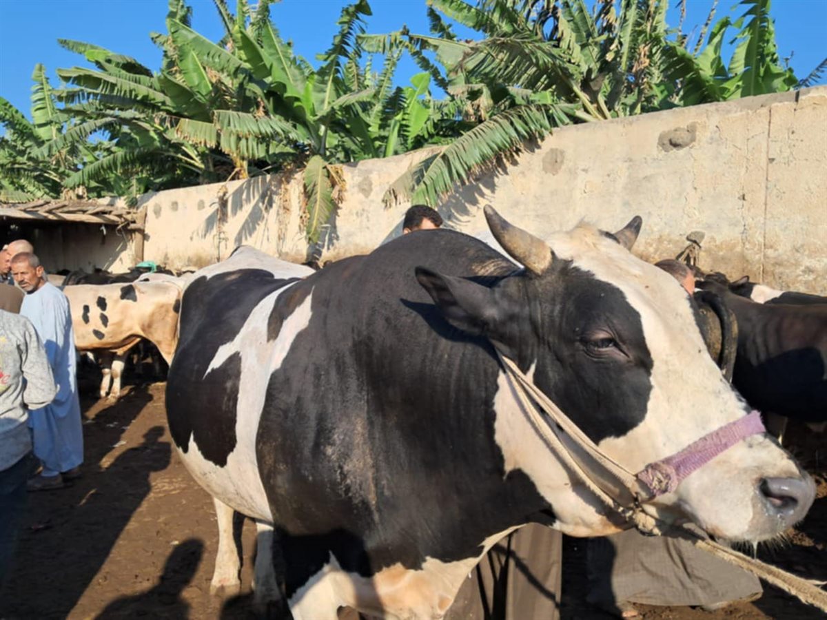 Messenger_creation_900C8B5A-9F49-4F79-B57E-50602BB80129