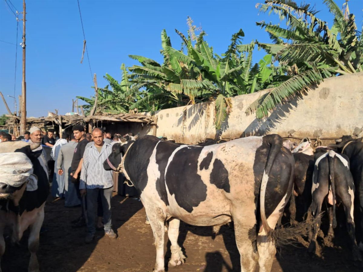 Messenger_creation_EAEDBF0F-AE69-4384-AD04-19095E8098B3