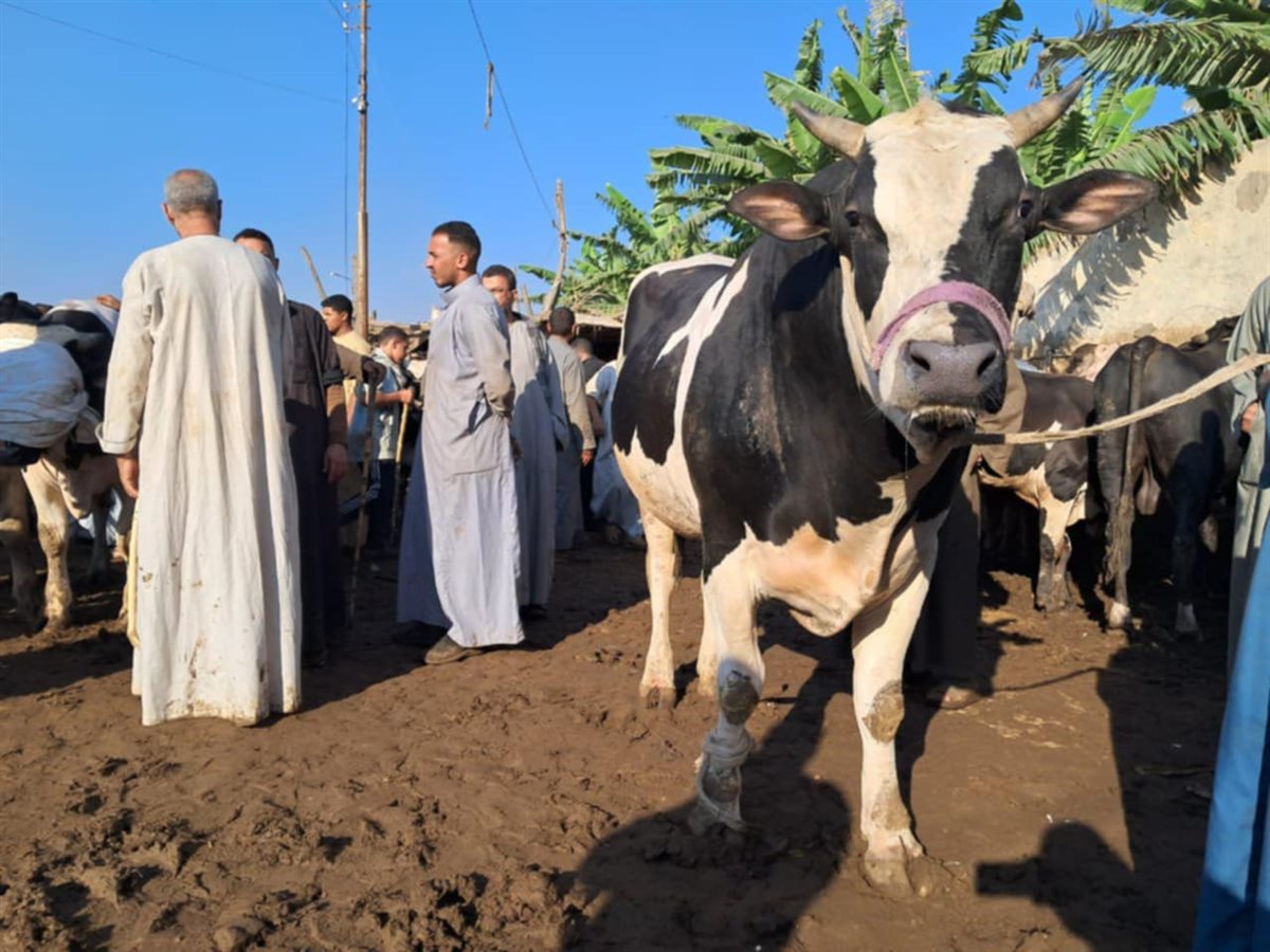 Messenger_creation_D26ED9BF-3104-472E-8C22-2AC68910E8A2