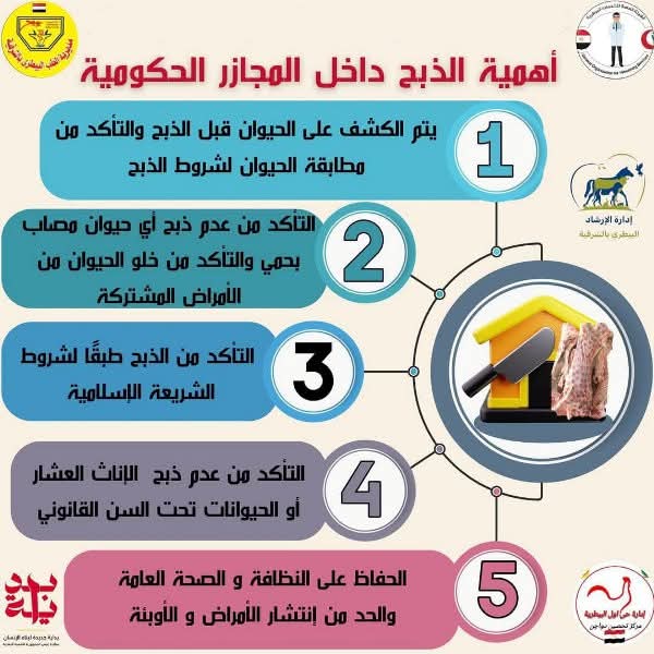 FB_IMG_1748947870512