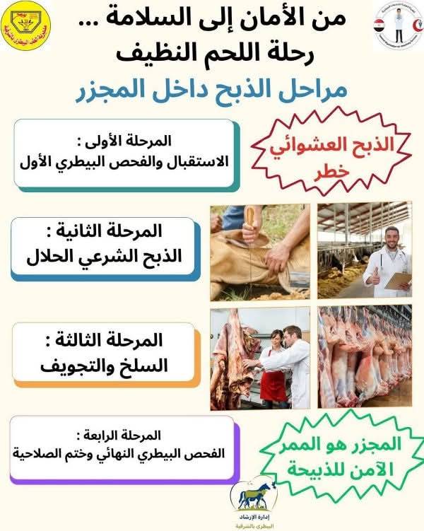 FB_IMG_1748947872629
