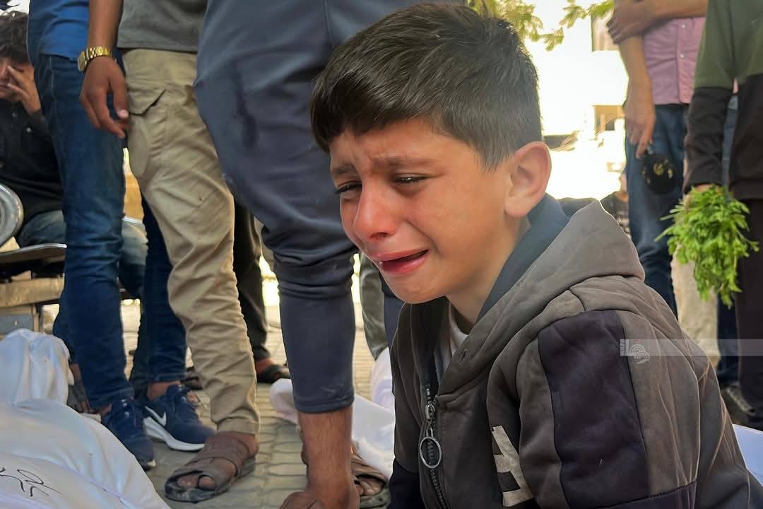 غزة