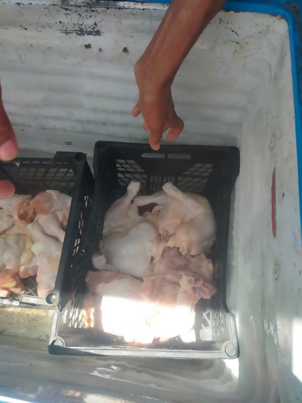 FB_IMG_1748983778248