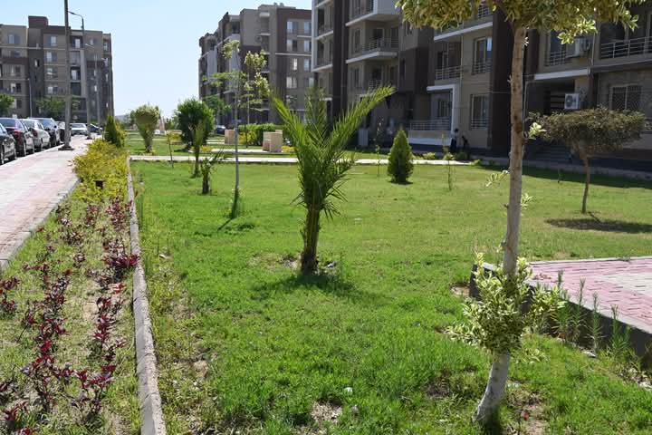 FB_IMG_1749117822146