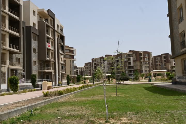 FB_IMG_1749117842371