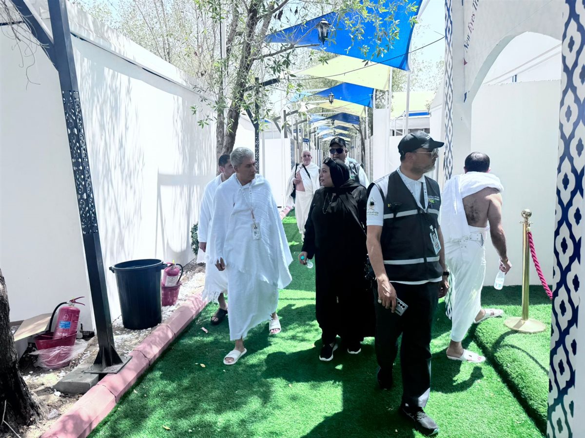 لسشيسشلسيشسيل