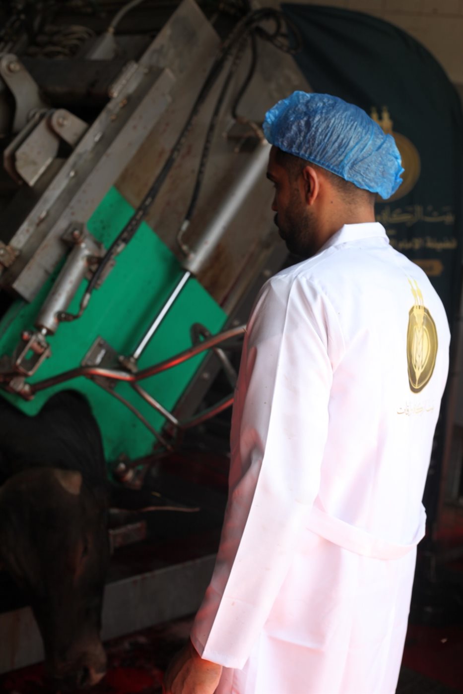 بيت الزكاة والصدقات يبدأ ذبح الأضاحي لتوزيع 2 كيلو لحوم بلدية