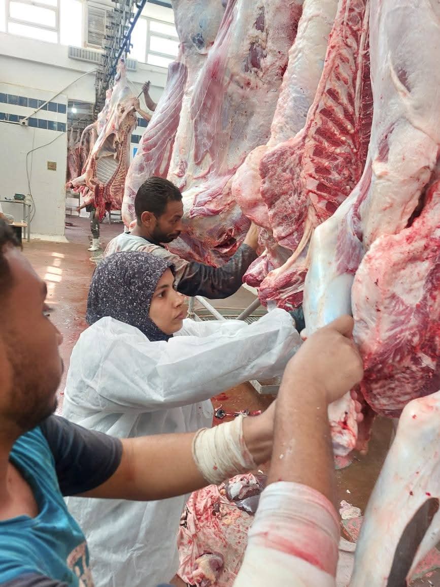 المجازر&nbsp;