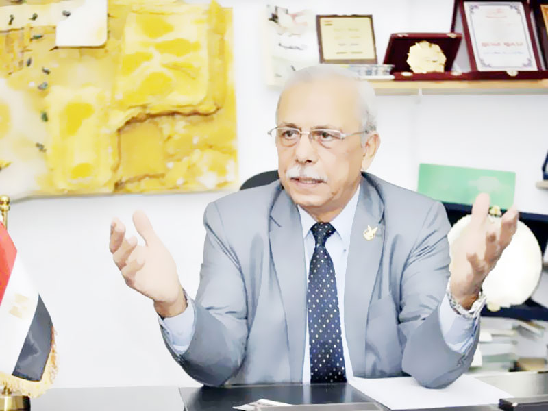 اللواء محمود منصور