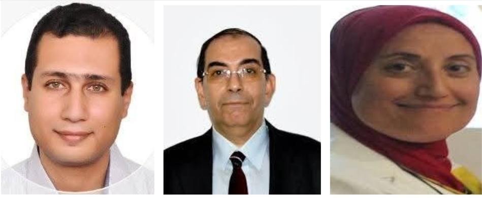 الفريق البحثي