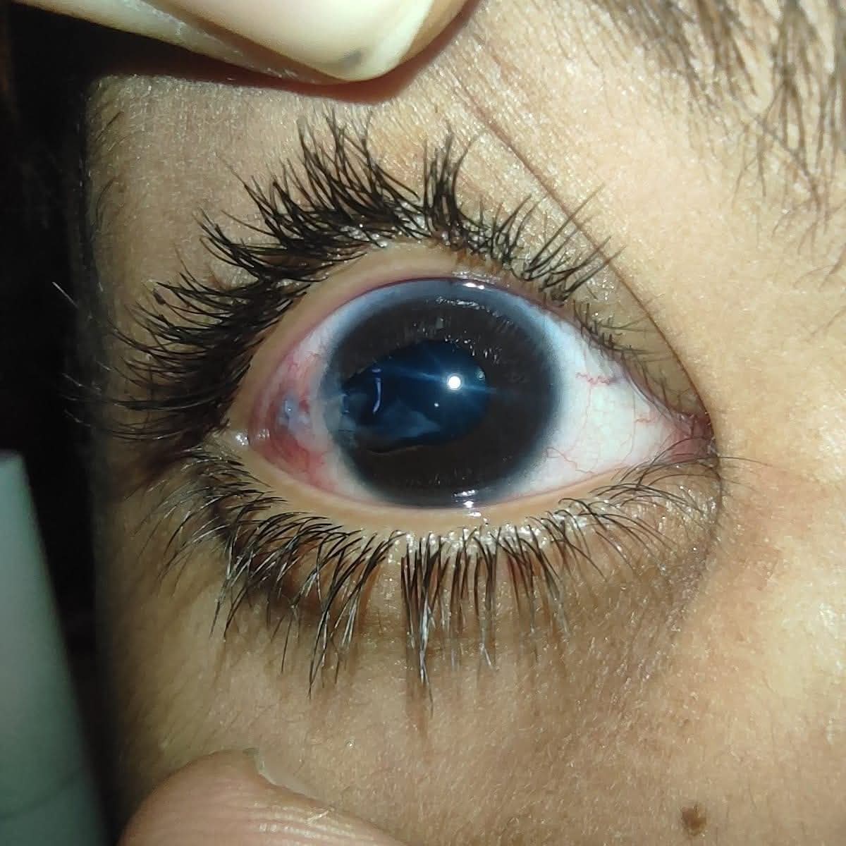 FB_IMG_1751731316677