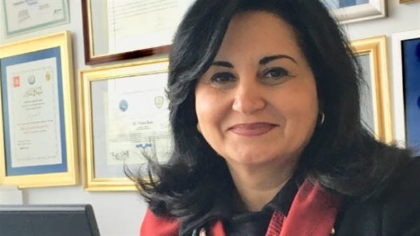 نهى أبو بكر، أستاذ العلوم السياسية