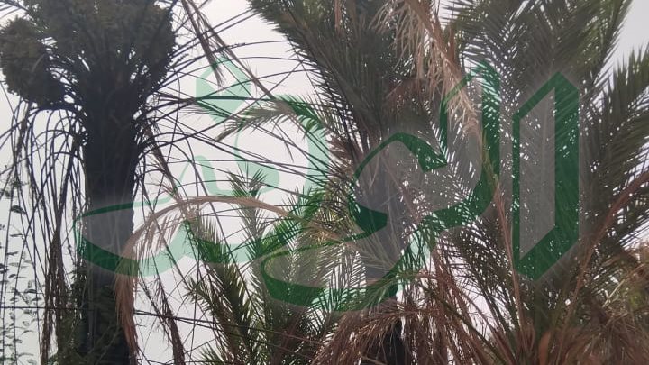 حريق منطقة البشارية 